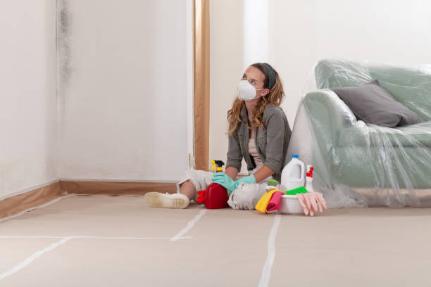 Reliable Mold Testing contractor in Dedham, MA by WQB Mold Removal